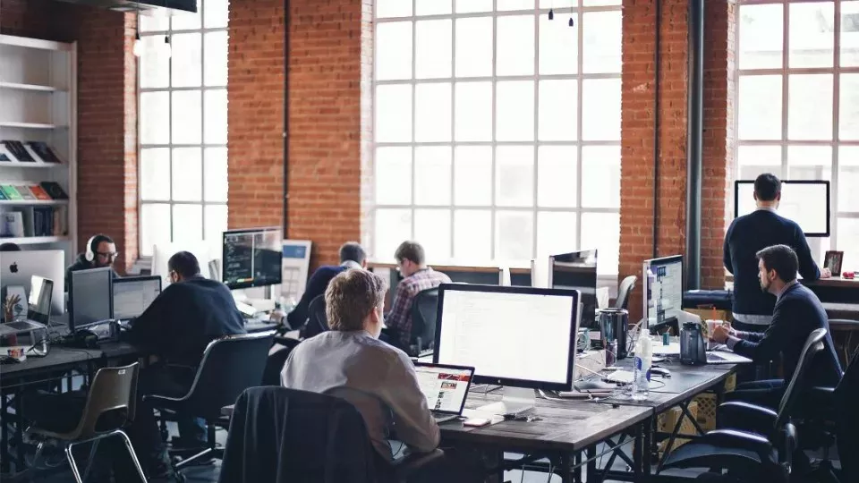 Как выбрать веб-студию в Жуковке по кейсам