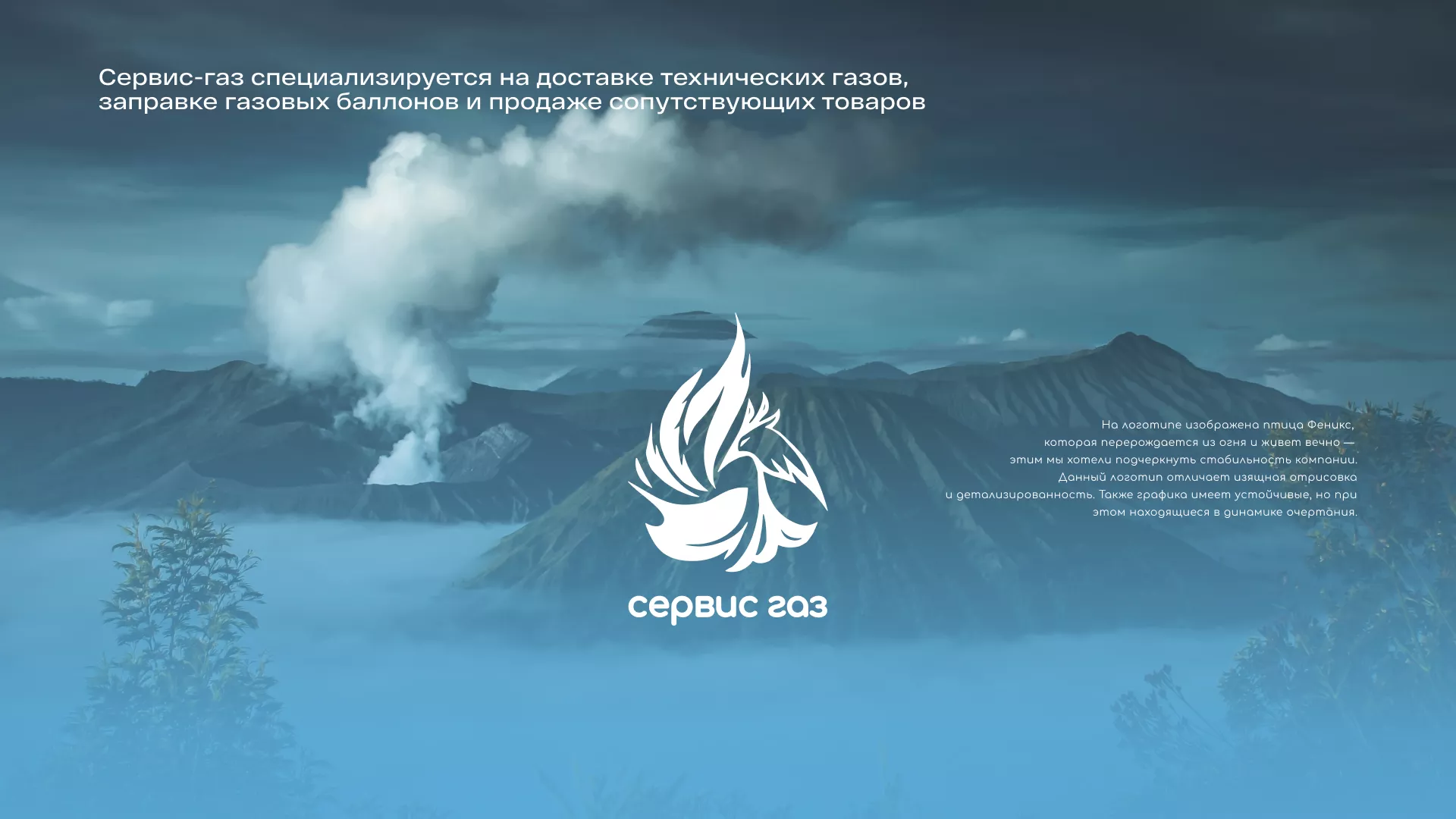 Создание сайта компании «Сервис газ» в Жуковке