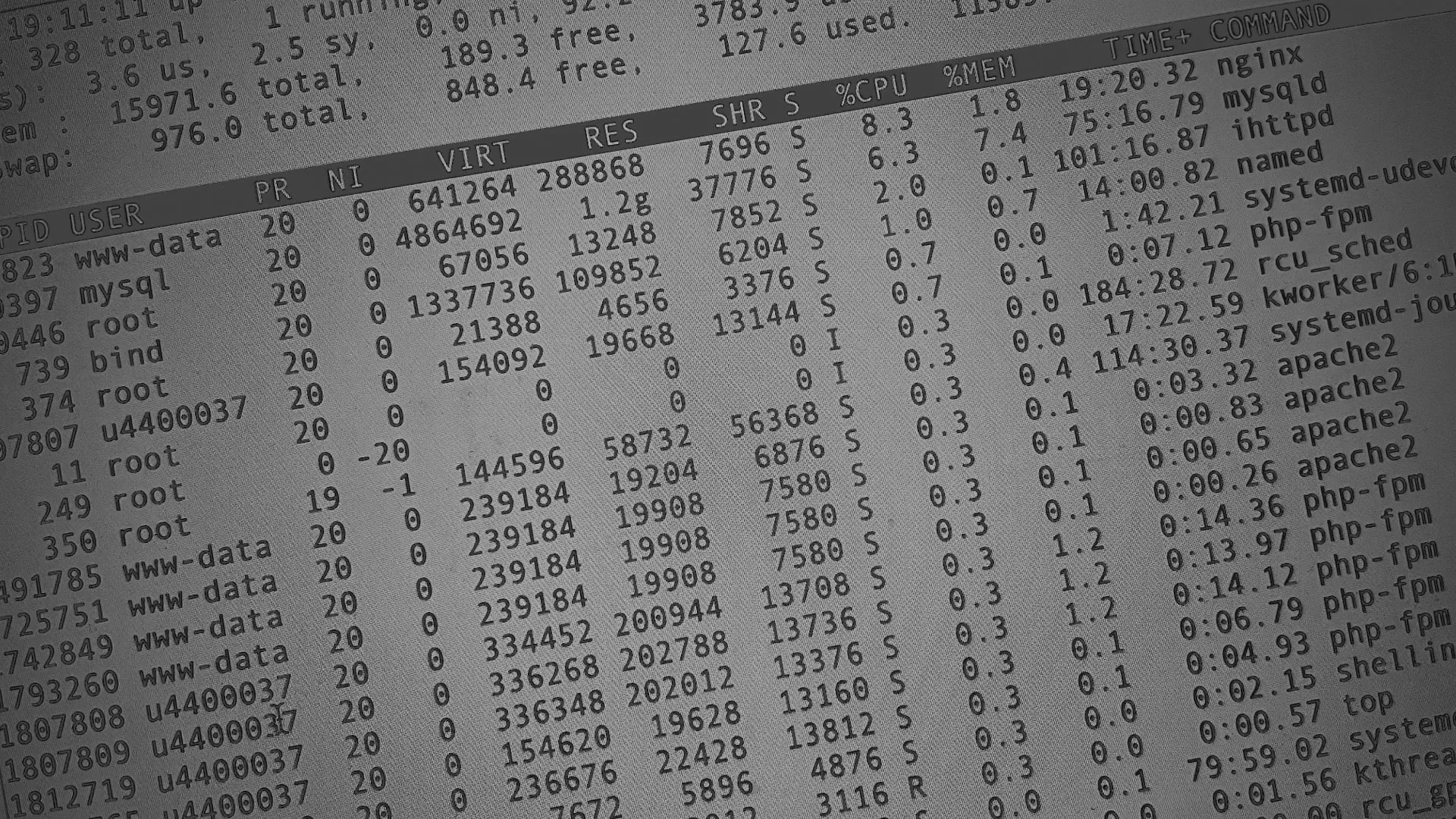 Настройка сервера в Жуковке Настройка сервера в Жуковке