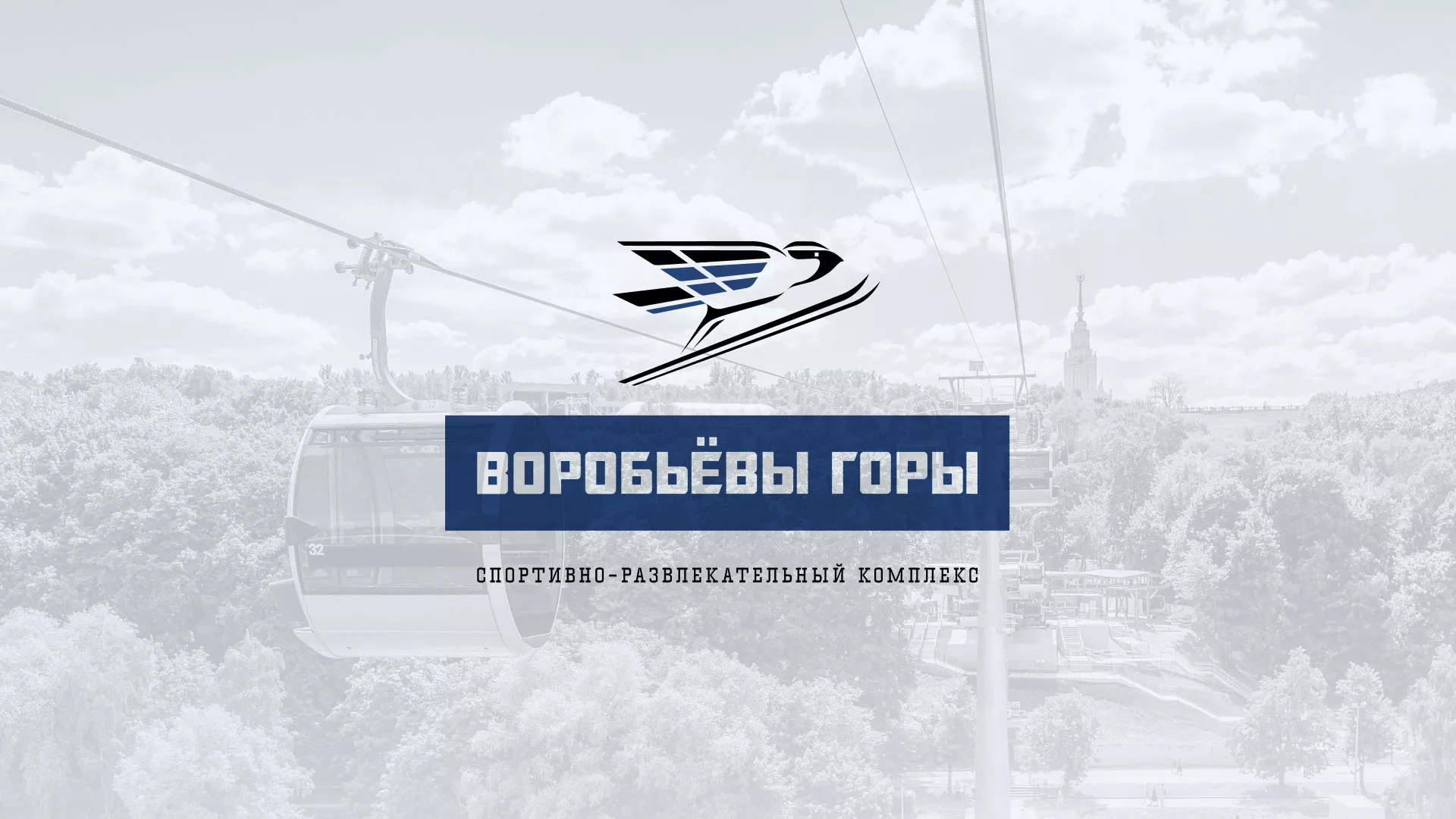 Разработка сайта в Жуковке для спортивно-развлекательного комплекса «Воробьёвы горы»