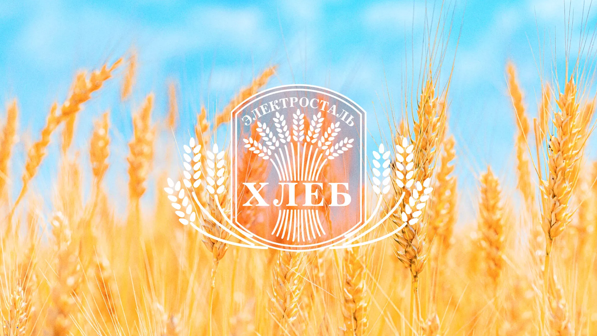 Создание сайта для хлебзавода в Жуковке