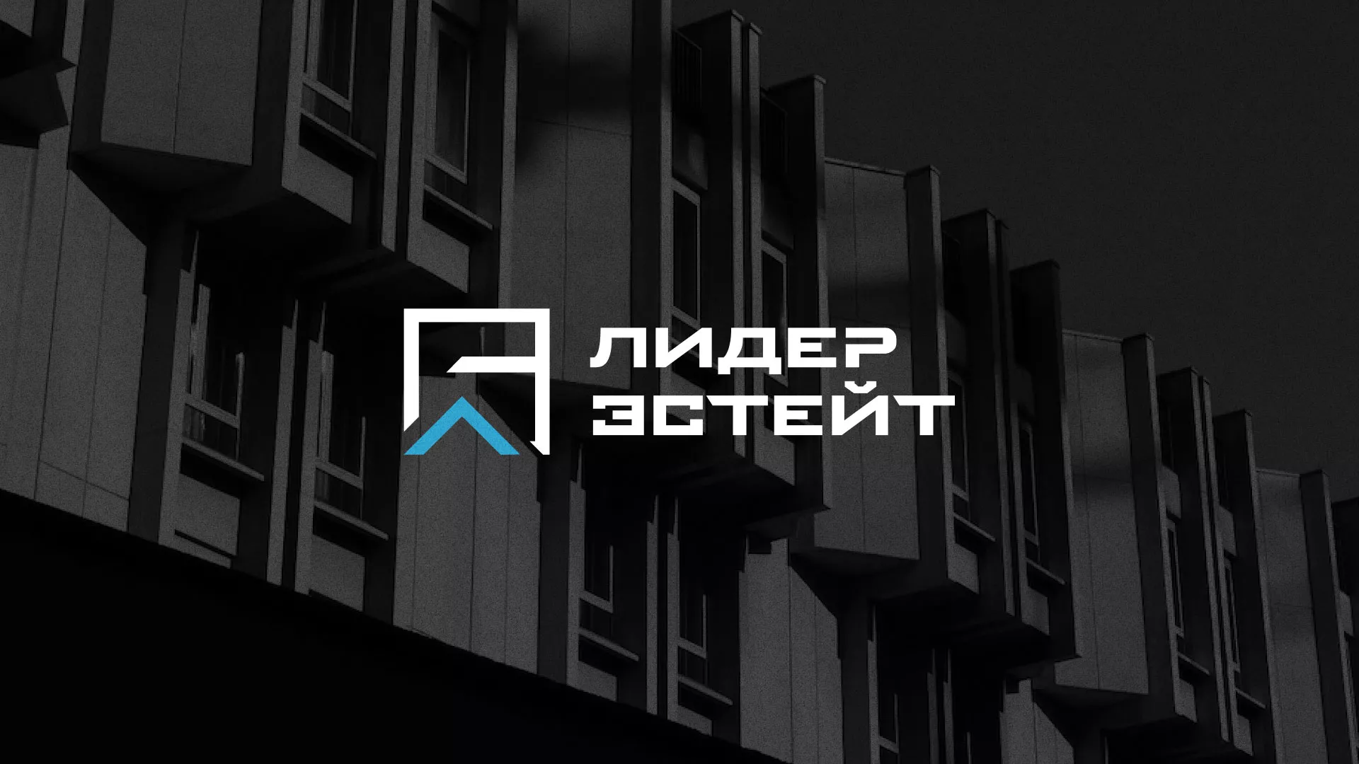 Разработка логотипа агентства недвижимости «Лидер Эстейт» в Жуковке